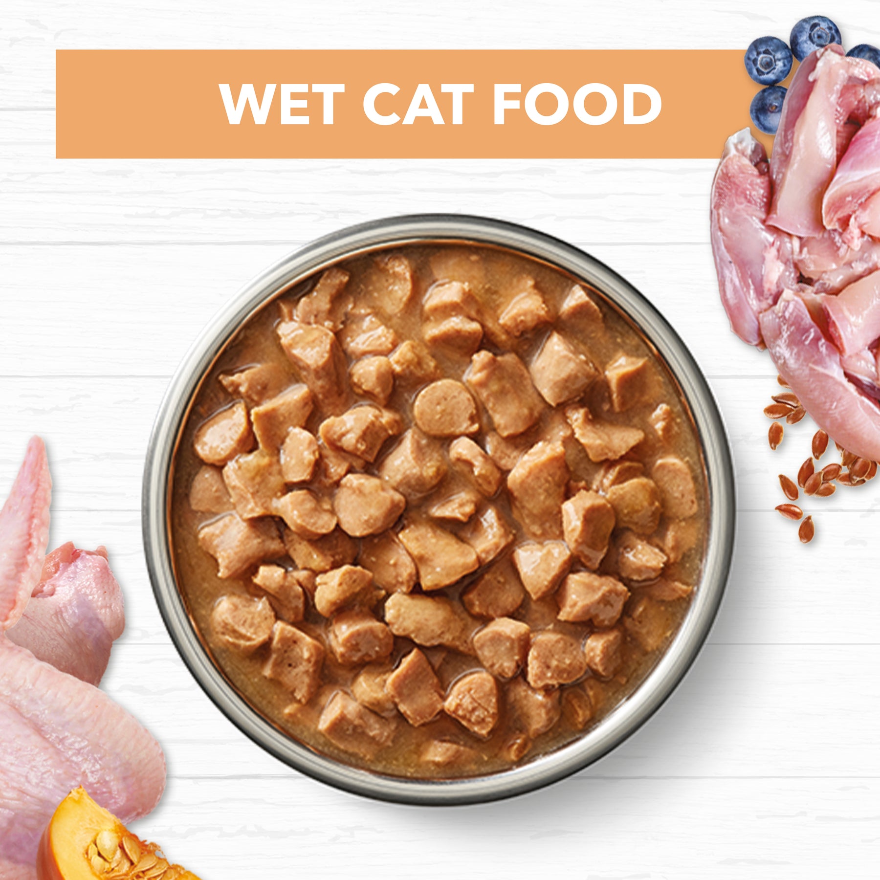 Grain Free Kitten Wet Food Chicken in Gravy
