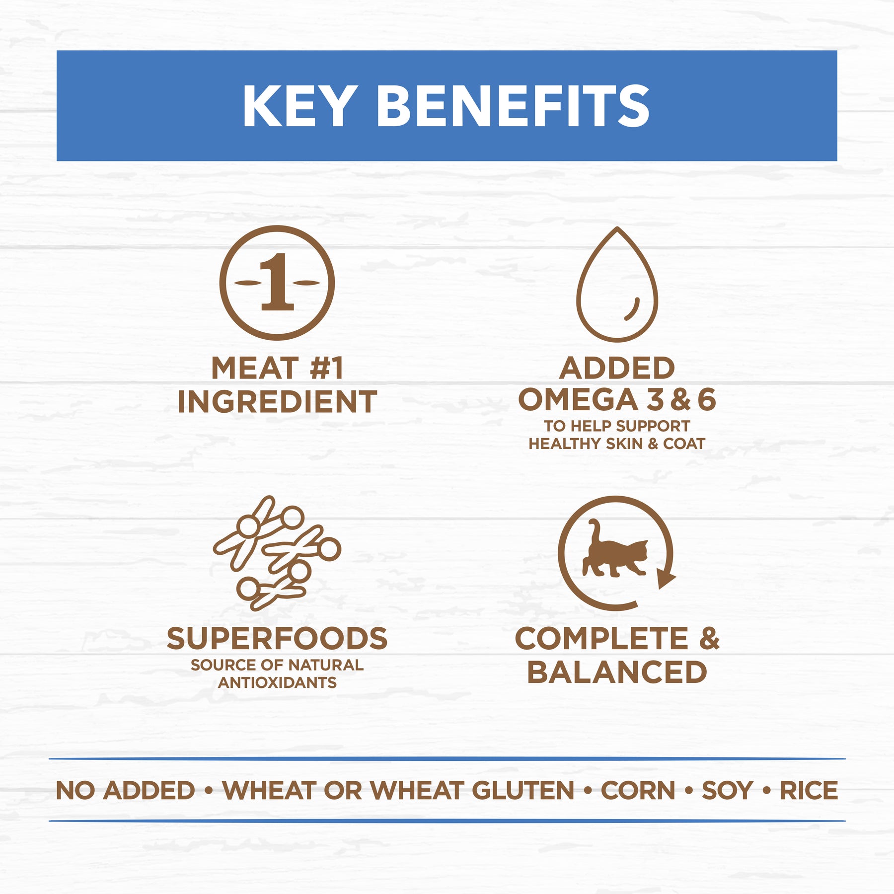 Grain Free Adult Wet Cat Food Chicken & Ocean Fish in Jelly