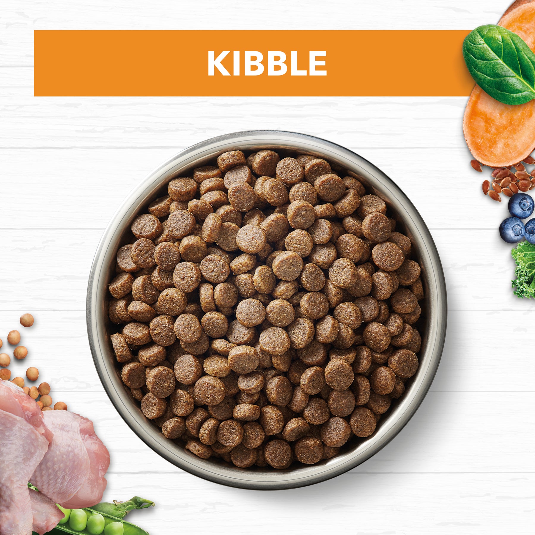 Grain Free Adult Dry Cat Food Chicken