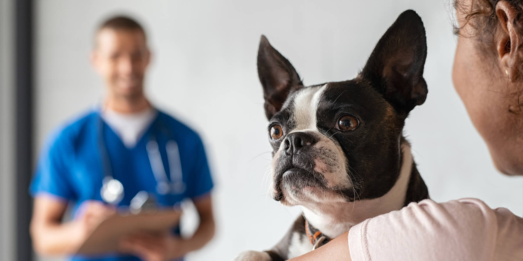 Vet Advice-what your vet wants every pet owner to know!