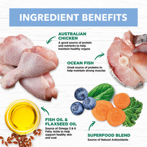 Grain Free Kitten Wet Cat Food Chicken & Ocean Fish in Jelly 85g