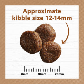 Grain Free Adult All Breeds Dry Dog Food Lamb & Kangaroo