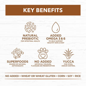 Grain Free Adult All Breeds Dry Dog Food Lamb & Kangaroo