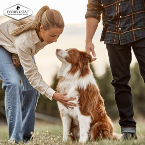 Grain Free Adult Wet Dog Food Lamb & Sardine Stew