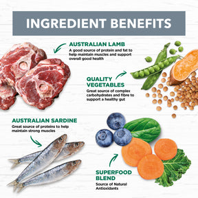 Grain Free Adult Wet Dog Food Lamb & Sardine Stew