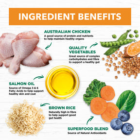 Holistic Nutrition Adult All Breeds Dry Dog Food Chicken & Brown Rice