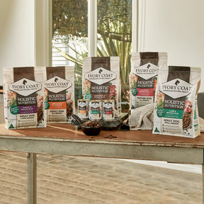 Holistic Nutrition Adult  All Breeds Dry Dog Food Lamb & Brown Rice
