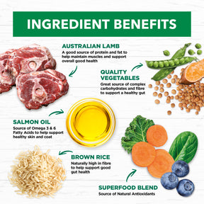 Holistic Nutrition Adult  All Breeds Dry Dog Food Lamb & Brown Rice