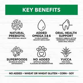 Holistic Nutrition Adult  All Breeds Dry Dog Food Lamb & Brown Rice