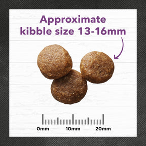 Holistic Nutrition Adult Large Breed Dry Dog Food Turkey & Brown Rice