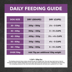 Holistic Nutrition Adult Large Breed Dry Dog Food Turkey & Brown Rice