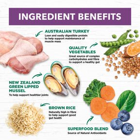 Holistic Nutrition Adult Large Breed Dry Dog Food Turkey & Brown Rice