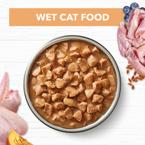 Grain Free Kitten Wet Food Chicken in Gravy