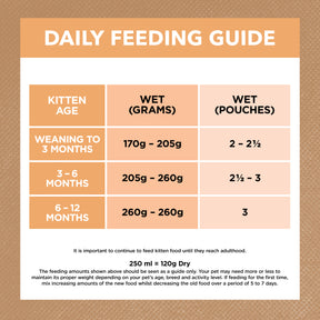Grain Free Kitten Wet Food Chicken in Gravy