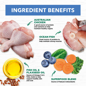 Grain Free Adult Wet Cat Food Chicken & Ocean Fish in Jelly
