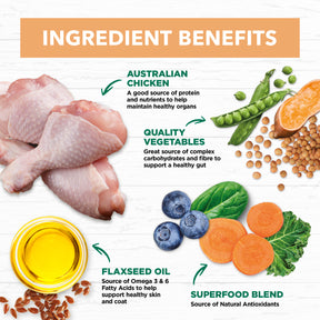 Grain Free Puppy Wet Dog Food Chicken Stew