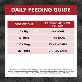 Holistic Nutrition Adult Wet Dog Food Beef & Brown Rice Loaf