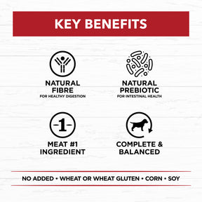 Holistic Nutrition Adult Wet Dog Food Beef & Brown Rice Loaf