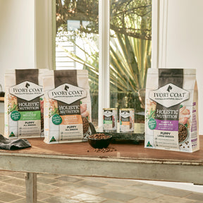 Holistic Nutrition Puppy All Breeds Dry Dog Food Chicken & Brown Rice