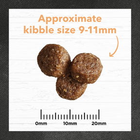 Holistic Nutrition Puppy All Breeds Dry Dog Food Chicken & Brown Rice