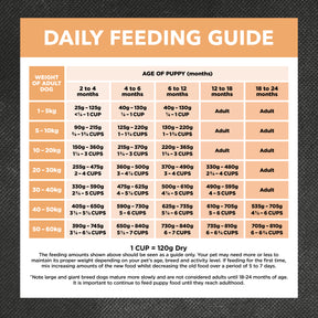 Holistic Nutrition Puppy All Breeds Dry Dog Food Chicken & Brown Rice