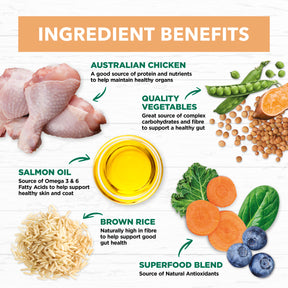 Holistic Nutrition Puppy All Breeds Dry Dog Food Chicken & Brown Rice