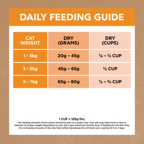 Grain Free Adult Dry Cat Food Chicken