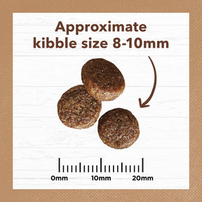 Grain Free Adult Dry Cat Food Chicken & Kangaroo