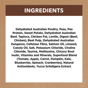 Grain Free Adult Dry Cat Food Chicken & Kangaroo