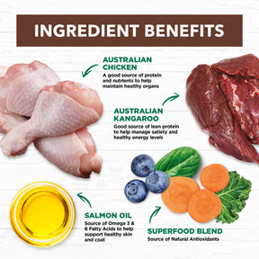 Grain Free Adult Dry Cat Food Chicken & Kangaroo