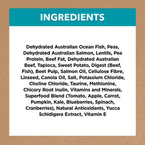 Grain Free Adult Dry Cat Food Ocean Fish & Salmon